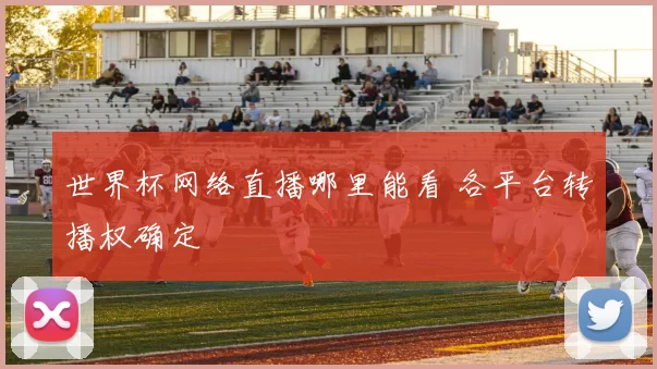 世界杯网络直播哪里能看 各平台转播权确定