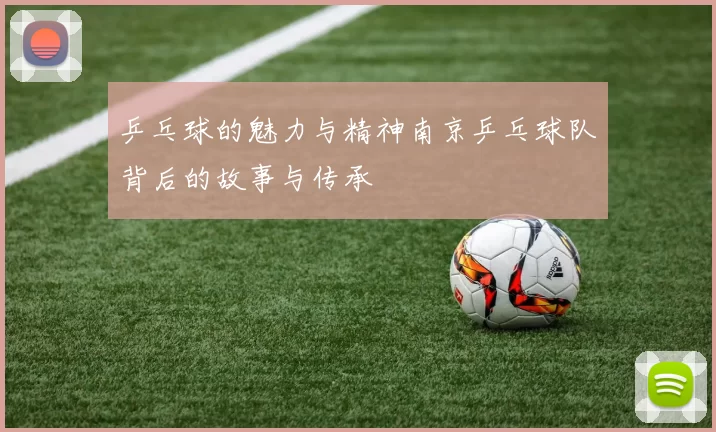 乒乓球的魅力与精神南京乒乓球队背后的故事与传承
