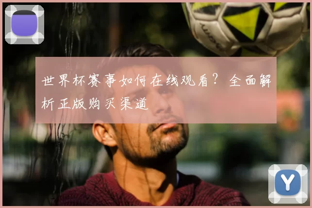 世界杯赛事如何在线观看？全面解析正版购买渠道