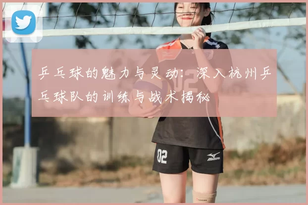乒乓球的魅力与灵动：深入杭州乒乓球队的训练与战术揭秘