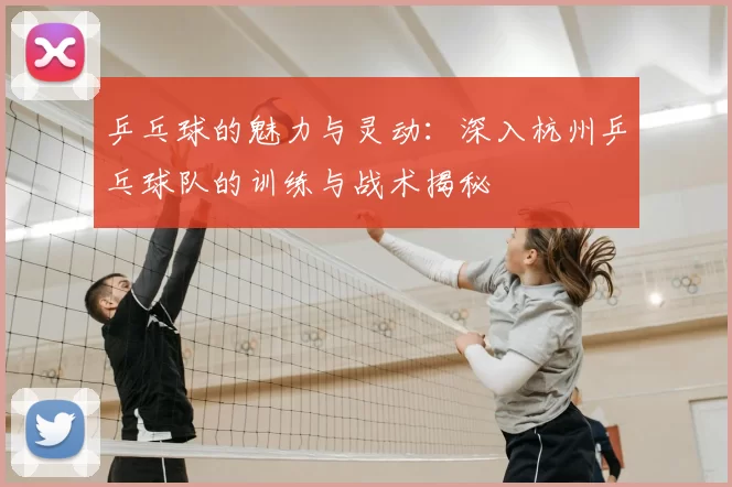 乒乓球的魅力与灵动:深入杭州乒乓球队的训练与战术揭秘