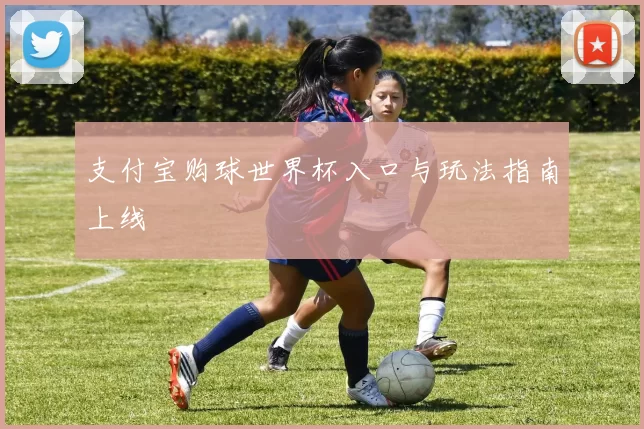 支付宝购球世界杯入口与玩法指南上线