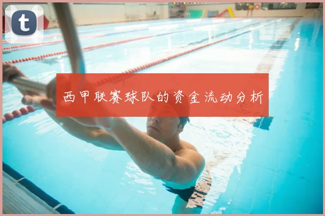 西甲联赛球队的资金流动分析