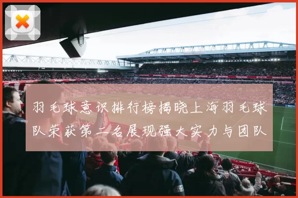 羽毛球意识排行榜揭晓上海羽毛球队荣获第二名展现强大实力与团队合作