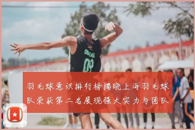 羽毛球意识排行榜揭晓上海羽毛球队荣获第二名展现强大实力与团队合作
