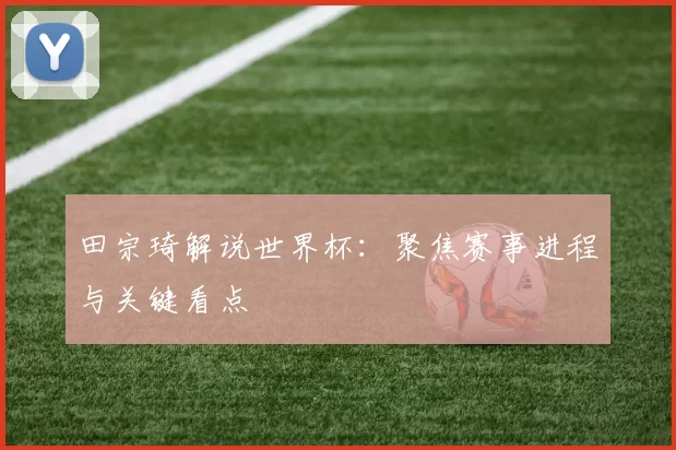 田宗琦解说世界杯:聚焦赛事进程与关键看点