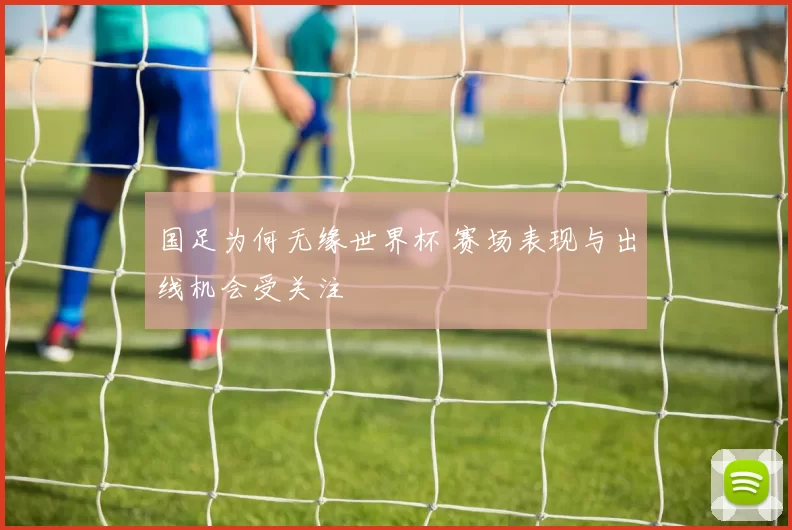 国足为何无缘世界杯 赛场表现与出线机会受关注