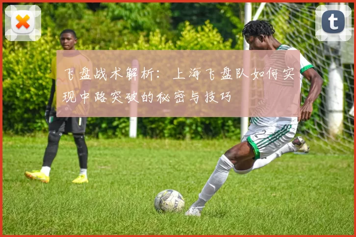 飞盘战术解析：上海飞盘队如何实现中路突破的秘密与技巧