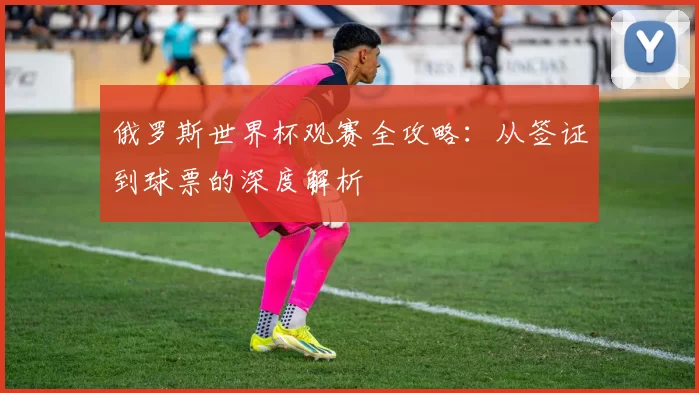 俄罗斯世界杯观赛全攻略：从签证到球票的深度解析