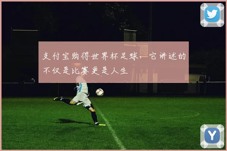 支付宝购得世界杯足球，它讲述的不仅是比赛更是人生