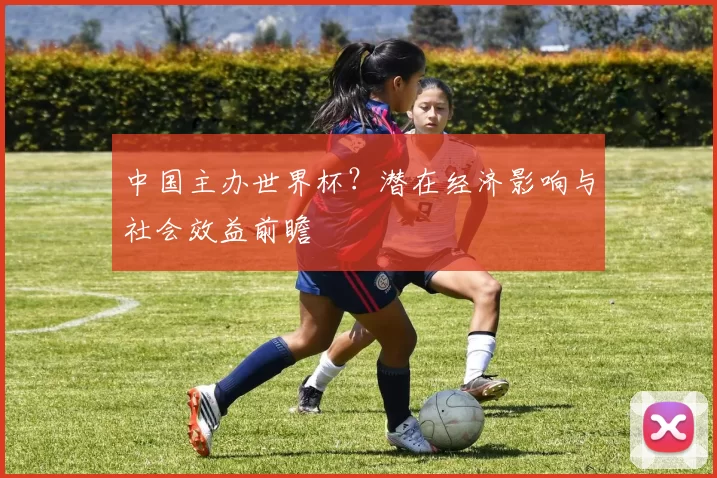 中国主办世界杯?潜在经济影响与社会效益前瞻
