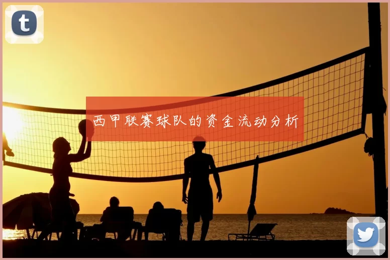 西甲联赛球队的资金流动分析