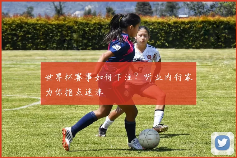 世界杯赛事如何下注?听业内行家为你指点迷津