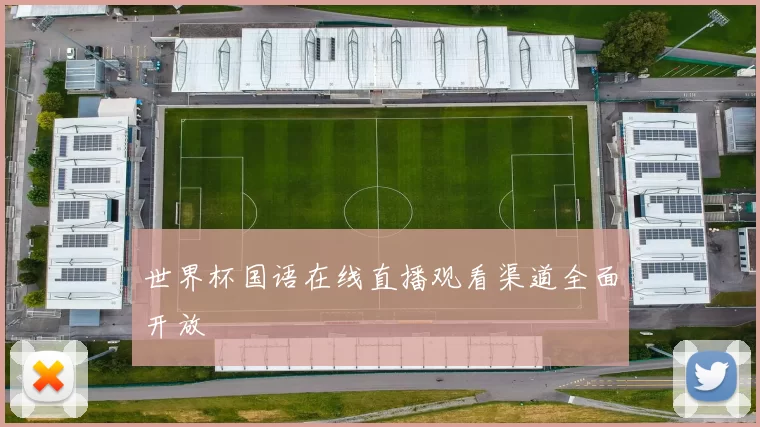 世界杯国语在线直播观看渠道全面开放